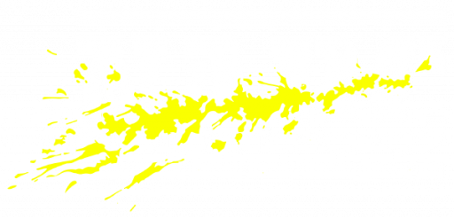NARC (USA) logo